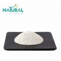 Xi'an Natural 99% CAS 497-76-7 Skin whitening Anti-aging beta arbutin powder